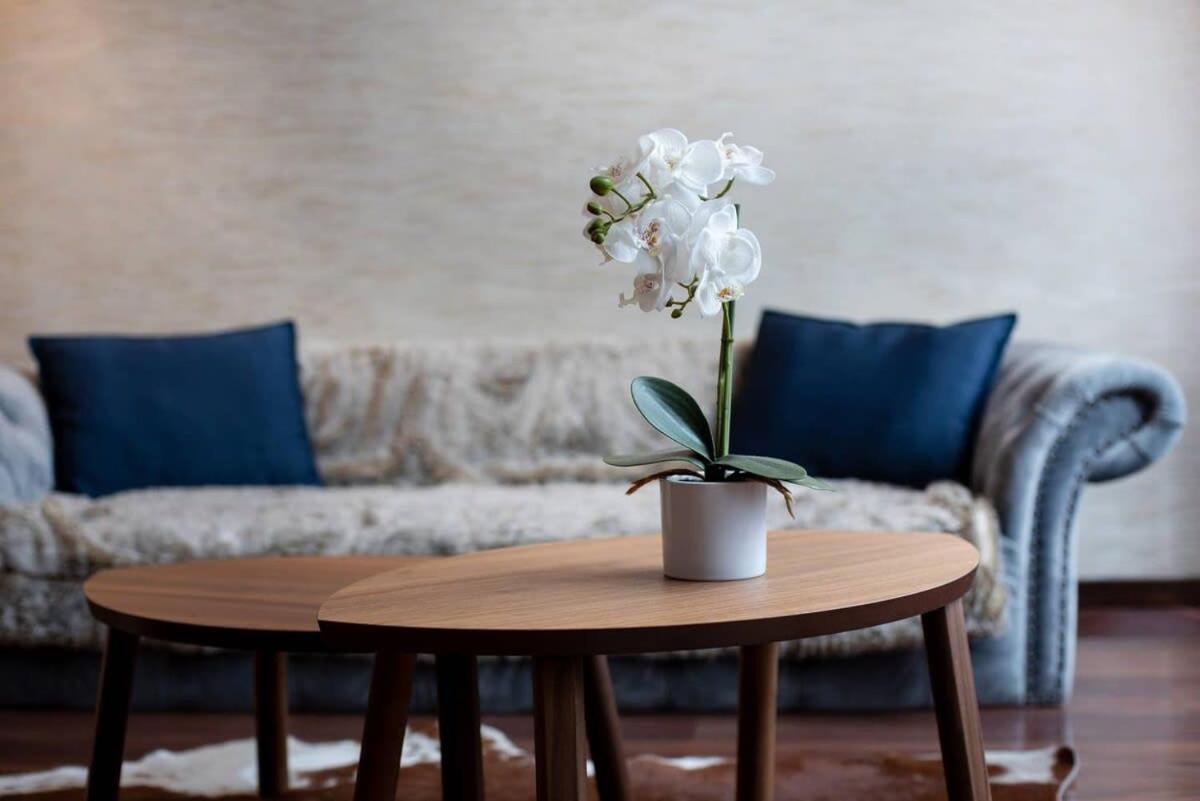 Central Luxy Design Apartment บูดาเปสต์ ภายนอก รูปภาพ